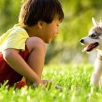 slider_img_2