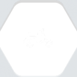 car_types_1_1