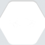 car_types_4_1