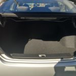 trunk