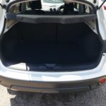 Trunk