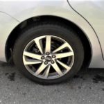 RIMS
