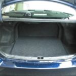 trunk