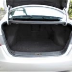 trunk