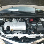 IMG-20230218-WA0022